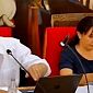 Offese al consigliere Pd, "ha parlato anche troppo"