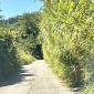 Degrado in via Piè di Monte, "Fuori controllo"