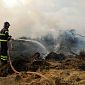 Incendio divora 5 ettari di collina