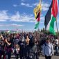 Proteste pro Palestina, appello contro le denunce