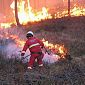 Incendi di bosco, Toscana la più colpita nel 2026