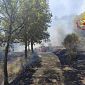 L'incendio si propaga dal fotovoltaico al bosco