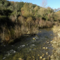 Focus sullo stato delle acque in Val di Cornia