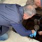Frode sui carburanti, 30mila litri sequestrati