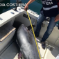 Stop alla pesca sportiva del tonno rosso