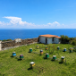 L'isola di Gorgona come "nursery" delle api regine