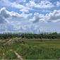 Indicate le aree coinvolte nel progetto TI-Link