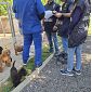 Mazzeo, "Quei cani devono essere curati e amati"
