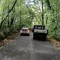 Maltempo, una tempesta di alberi e rami 