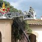 Cipresso si accascia sulla pieve