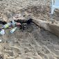 "Danno all'ambiente e alla comunità"