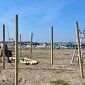 Gazebo e pedane per una spiaggia più inclusiva