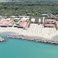 Ostreopsis sopra i limiti a Marina di Pisa