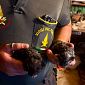Due gattini salvati durante un incendio