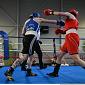 Il debutto pro sul ring per Federica Pardini