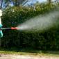 Dengue e Chikungunya, appello alla Regione Toscana