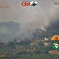 Incendio nel bosco, l'allarme lanciato dall'IA