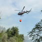 Paura per le fiamme tra gli uliveti