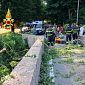 Ramo cade e colpisce una ciclista