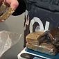 Maxi blitz antidroga, cinque arresti anche a Pisa