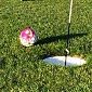 Due cecinesi ai mondiali di FootGolf