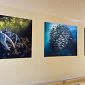 Ospedale, mostra permanente dedicata al mare 