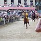 La contrada dell'Aquila vince il Palio di Siena