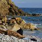 Un'anfora restituita dal mare a Punta Falcone