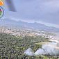 Incendio aggredisce la pineta