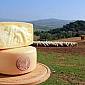 La Dop economy traina l'agroalimentare toscano