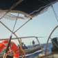 Flotilla, liberati gli attivisti toscani