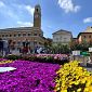 VerdePisa, fiori e eventi nel centro storico