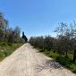 Al via i lavori sulle strade bianche per 22mila euro
