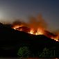 Notte di fuoco e il bosco brucia ancora