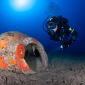 Nuove scoperte archeologiche nei fondali dell'Elba