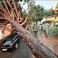 Maltempo in Toscana, allagamenti e alberi caduti