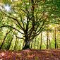 Più risorse per valorizzare il patrimonio naturale