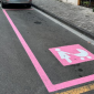 Arrivano gli stalli rosa