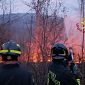 Incendio nel bosco minaccia le case