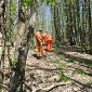Antincendi boschivi, formazione alla Gorgona