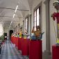 Degustando l'Arte celebra i 200 anni di Collodi