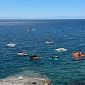 Al via l'Elba Foil Fest