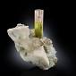 Scuola di Mineralogia, serate aperte al pubblico