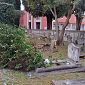 Il vento sradica alberi e la copertura del cimitero
