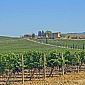 “Vendemmia in anticipo, meno olio e latte in calo”