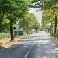 Ciclista aggredito sulla Sarzanese Valdera