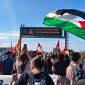 Pro Palestina, oltre 60 denunce e sanzioni