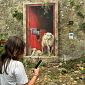 Blogger e influencer per raccontare il borgo