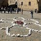 Di fiore in fiore, si colora il centro di Volterra