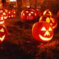 Val di Cornia da paura, tutti gli appuntamenti di Halloween